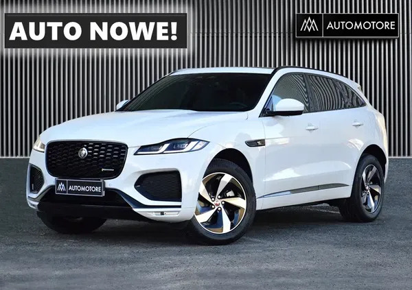 samochody osobowe Jaguar F-Pace cena 264900 przebieg: 20, rok produkcji 2022 z Sulechów